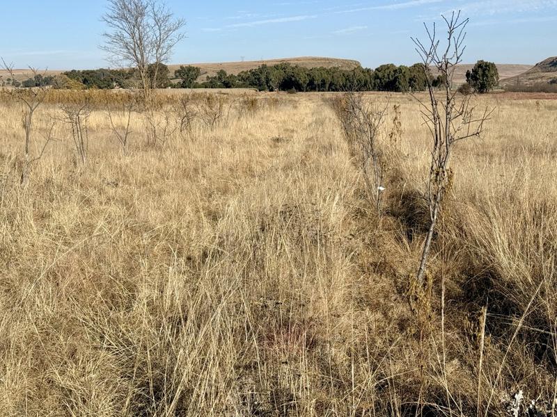 0 Bedroom Property for Sale in Harrismith Free State